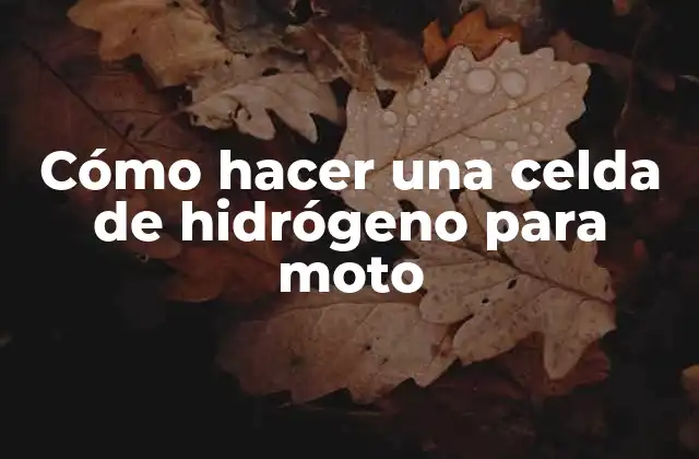 Cómo Hacer una Celda de Hidrógeno para Moto