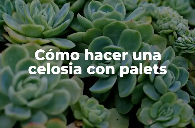 Cómo Hacer una Celosia con Palets