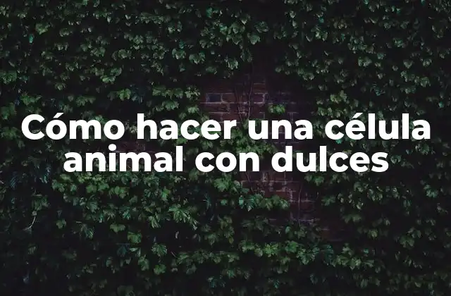 Cómo Hacer una Célula Animal con Dulces