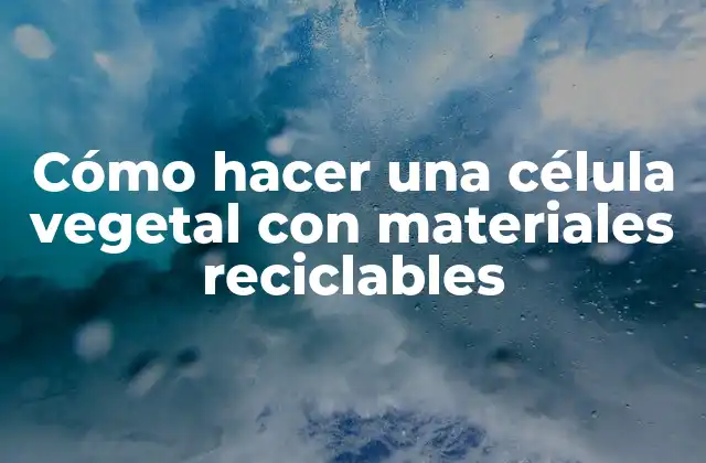 Cómo Hacer una Célula Vegetal con Materiales Reciclables