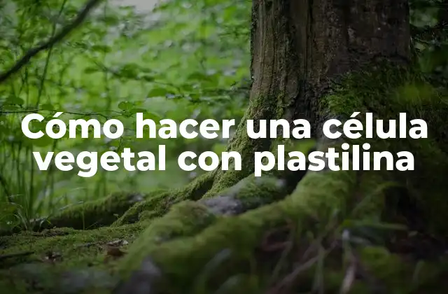 Cómo Hacer una Célula Vegetal con Plastilina 2 Cómo hacer una célula vegetal con plastilina