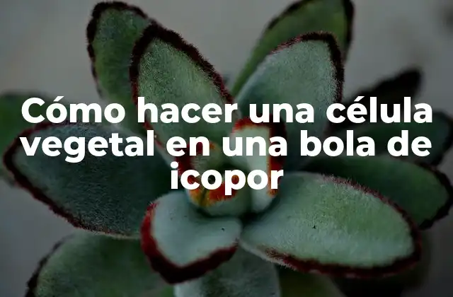 Cómo Hacer una Célula Vegetal en una Bola de Icopor
