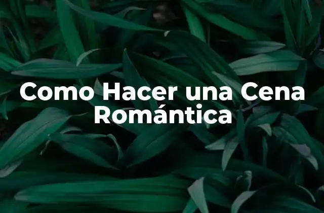 ¿Qué es una Cena Romántica?
