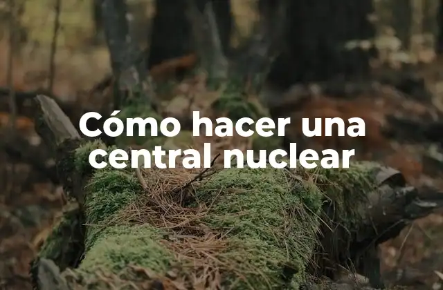 Cómo Hacer una Central Nuclear