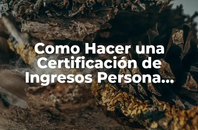 Como Hacer una Certificación de Ingresos Persona Independiente