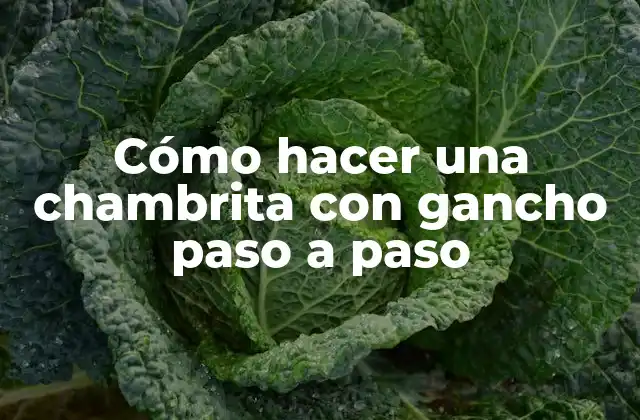 Cómo Hacer una Chambrita con Gancho Paso a Paso