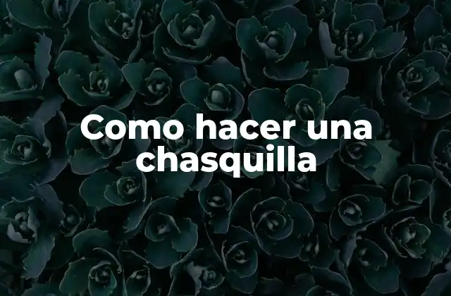 Como Hacer una Chasquilla