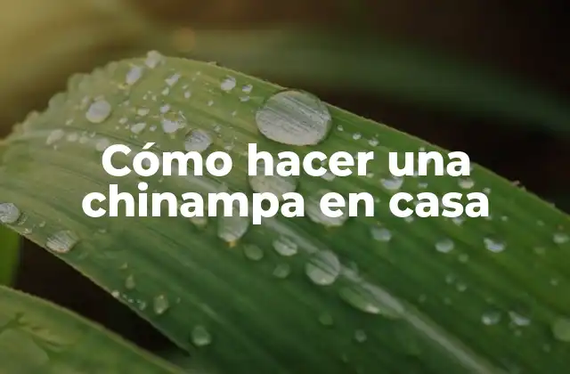 Cómo Hacer una Chinampa en Casa