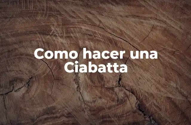 Como Hacer una Ciabatta