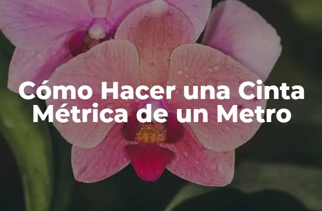 Cómo Hacer una Cinta Métrica de un Metro