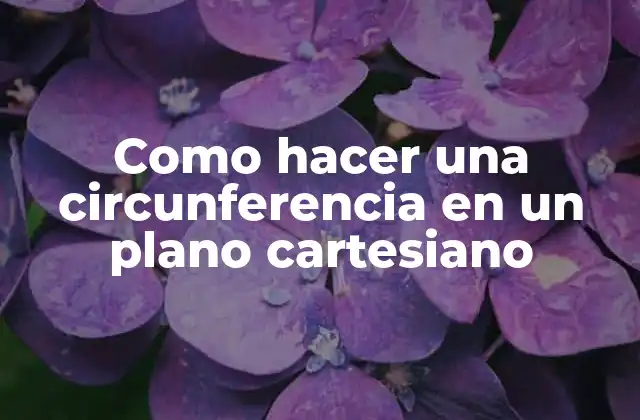 Como Hacer una Circunferencia en un Plano Cartesiano