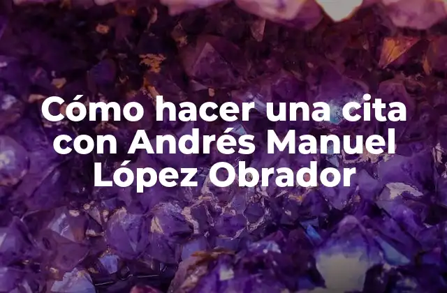 Cómo Hacer una Cita con Andrés Manuel López Obrador