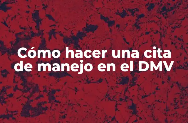 Cómo Hacer una Cita de Manejo en el Dmv