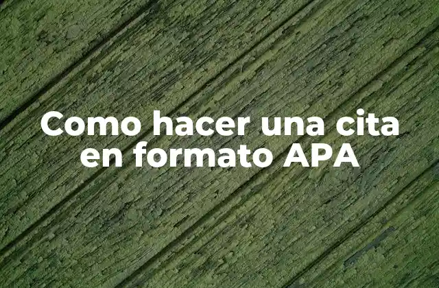 Como Hacer una Cita en Formato Apa