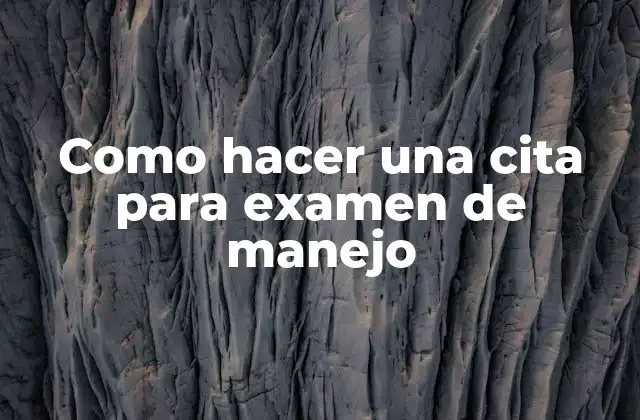 Como Hacer una Cita para Examen de Manejo