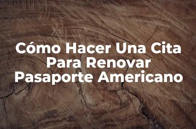 Cómo Hacer una Cita para Renovar Pasaporte Americano