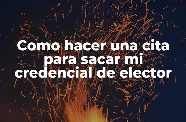 Como Hacer una Cita para Sacar Mi Credencial de Elector
