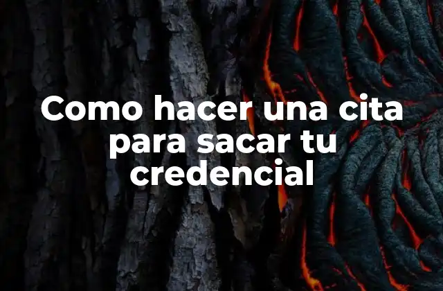 Como Hacer una Cita para Sacar Tu Credencial