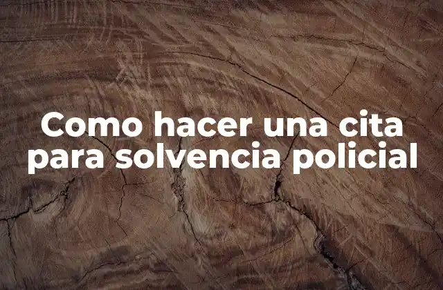 Como Hacer una Cita para Solvencia Policial 2 ¿Qué es una cita para solvencia policial?