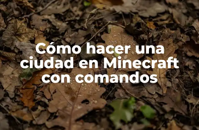 Cómo Hacer una Ciudad en Minecraft con Comandos