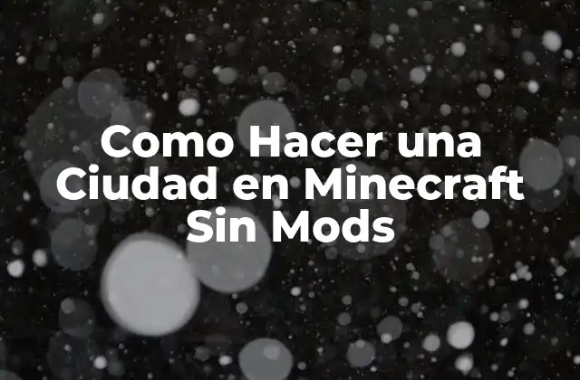 ¿Qué es una Ciudad en Minecraft?