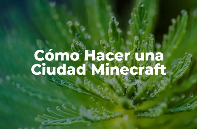 Cómo Hacer una Ciudad Minecraft 2 ¿Qué es Minecraft y para qué Sirve?