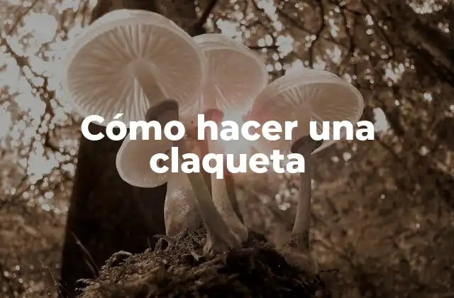 Cómo Hacer una Claqueta 2 ¿Qué es una claqueta y para qué sirve?