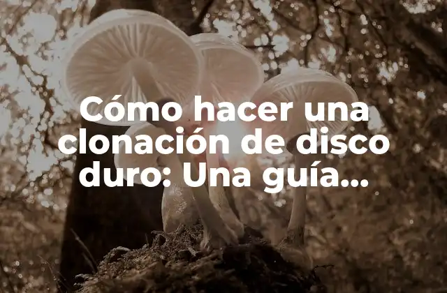 Cómo Hacer una Clonación de Disco Duro: una Guía Detallada