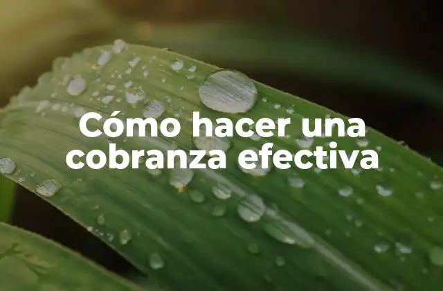 Cómo Hacer una Cobranza Efectiva 2 Cómo hacer una cobranza efectiva