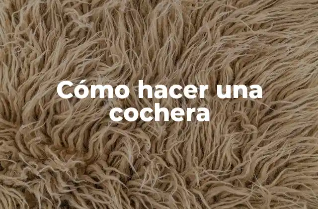 Cómo Hacer una Cochera