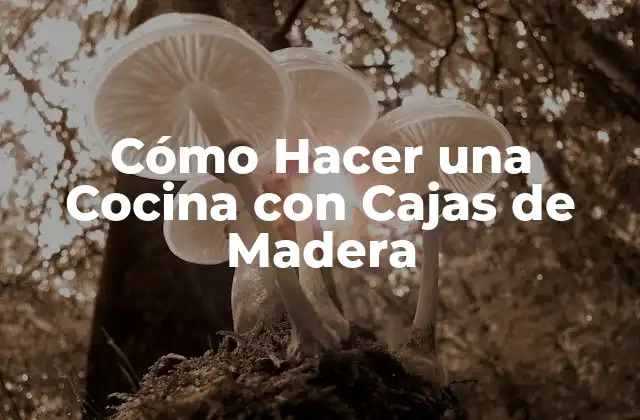 Cómo Hacer una Cocina con Cajas de Madera