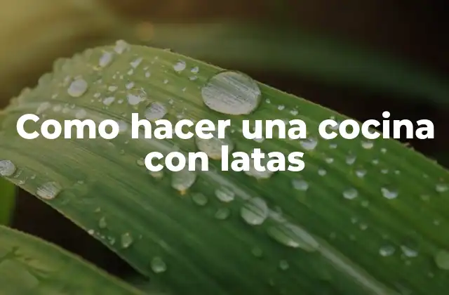 Como Hacer una Cocina con Latas