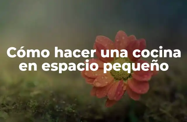Cómo Hacer una Cocina en Espacio Pequeño 2 Cómo hacer una cocina en espacio pequeño