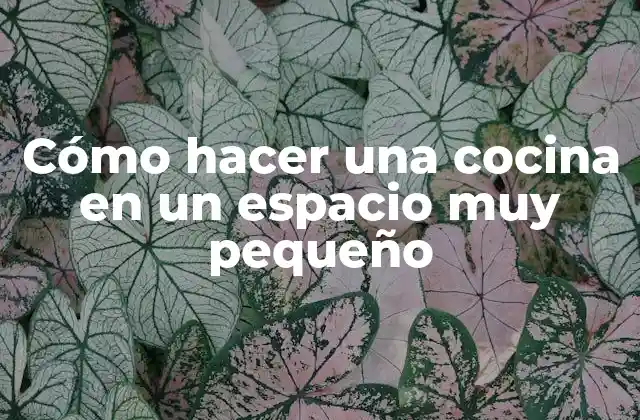 Cómo Hacer una Cocina en un Espacio Muy Pequeño