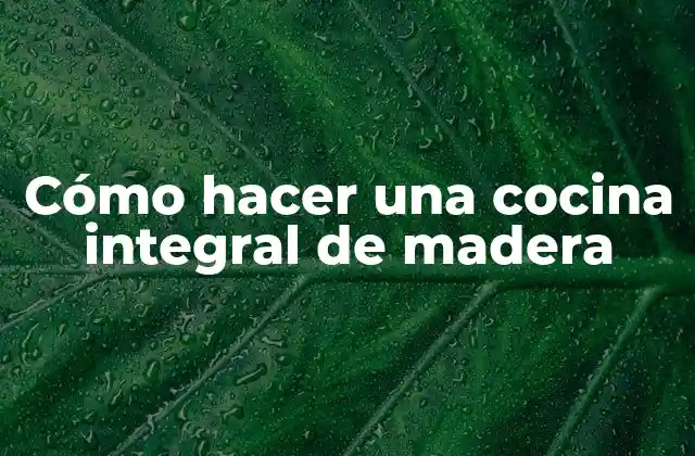 Cómo Hacer una Cocina Integral de Madera