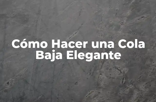Cómo Hacer una Cola Baja Elegante