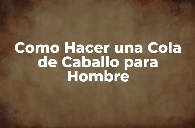 Como Hacer una Cola de Caballo para Hombre