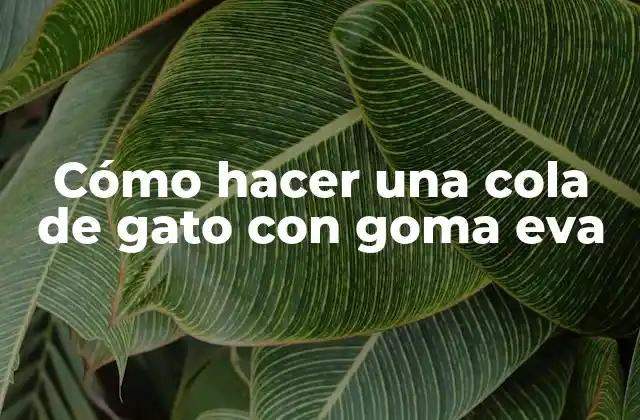 Cómo Hacer una Cola de Gato con Goma Eva