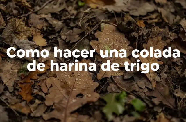 Como Hacer una Colada de Harina de Trigo