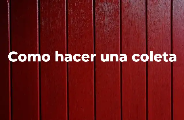 Como Hacer una Coleta