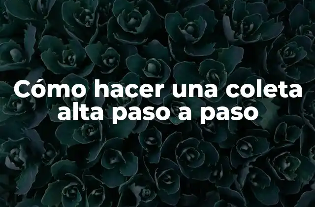 Cómo Hacer una Coleta Alta Paso a Paso
