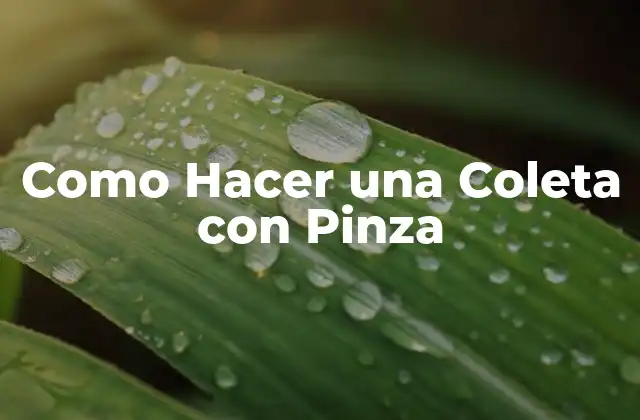 ¿Qué es una Coleta con Pinza?