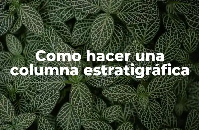 Como Hacer una Columna Estratigráfica