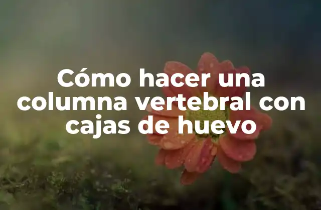 Cómo Hacer una Columna Vertebral con Cajas de Huevo 2 Cómo hacer una columna vertebral con cajas de huevo