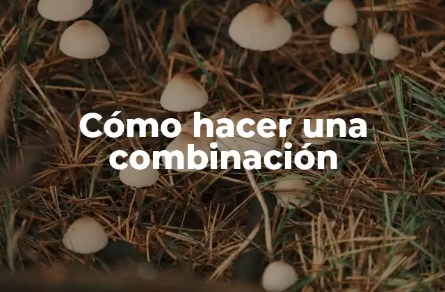 Cómo Hacer una Combinación 2 Cómo hacer una combinación