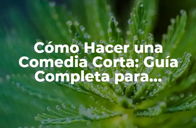 ¿Qué es una Comedia Corta?