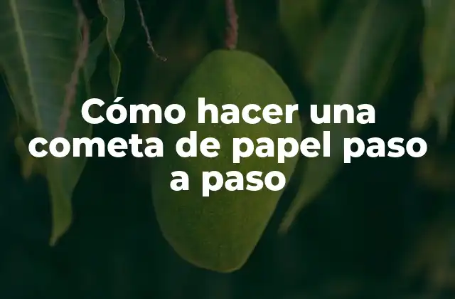 ¿Qué es una cometa de papel y cómo funciona?
