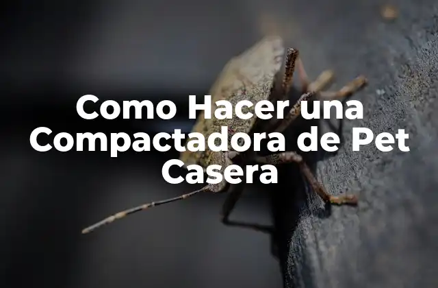 Como Hacer una Compactadora de Pet Casera