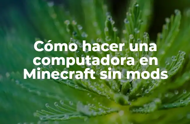 Cómo Hacer una Computadora en Minecraft sin Mods