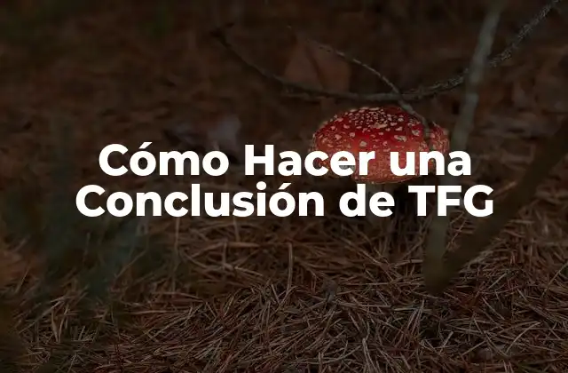 Cómo Hacer una Conclusión de Tfg 2 ¿Qué es una Conclusión de TFG y para Qué Sirve?